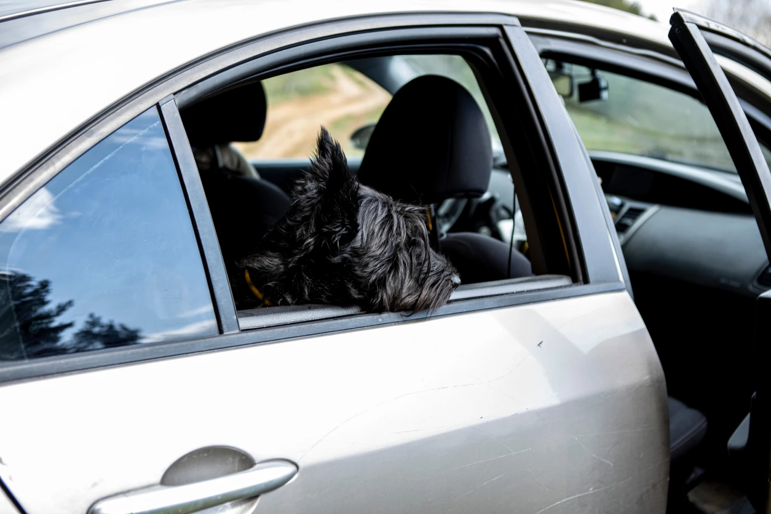 Dodge Grand Caravan Dog Car Seat for Scottish Terriers