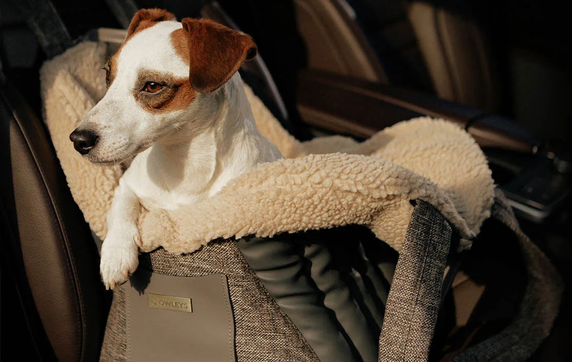 American Hairless Terrier Dog Carrier Car Seat for Toyota Camry